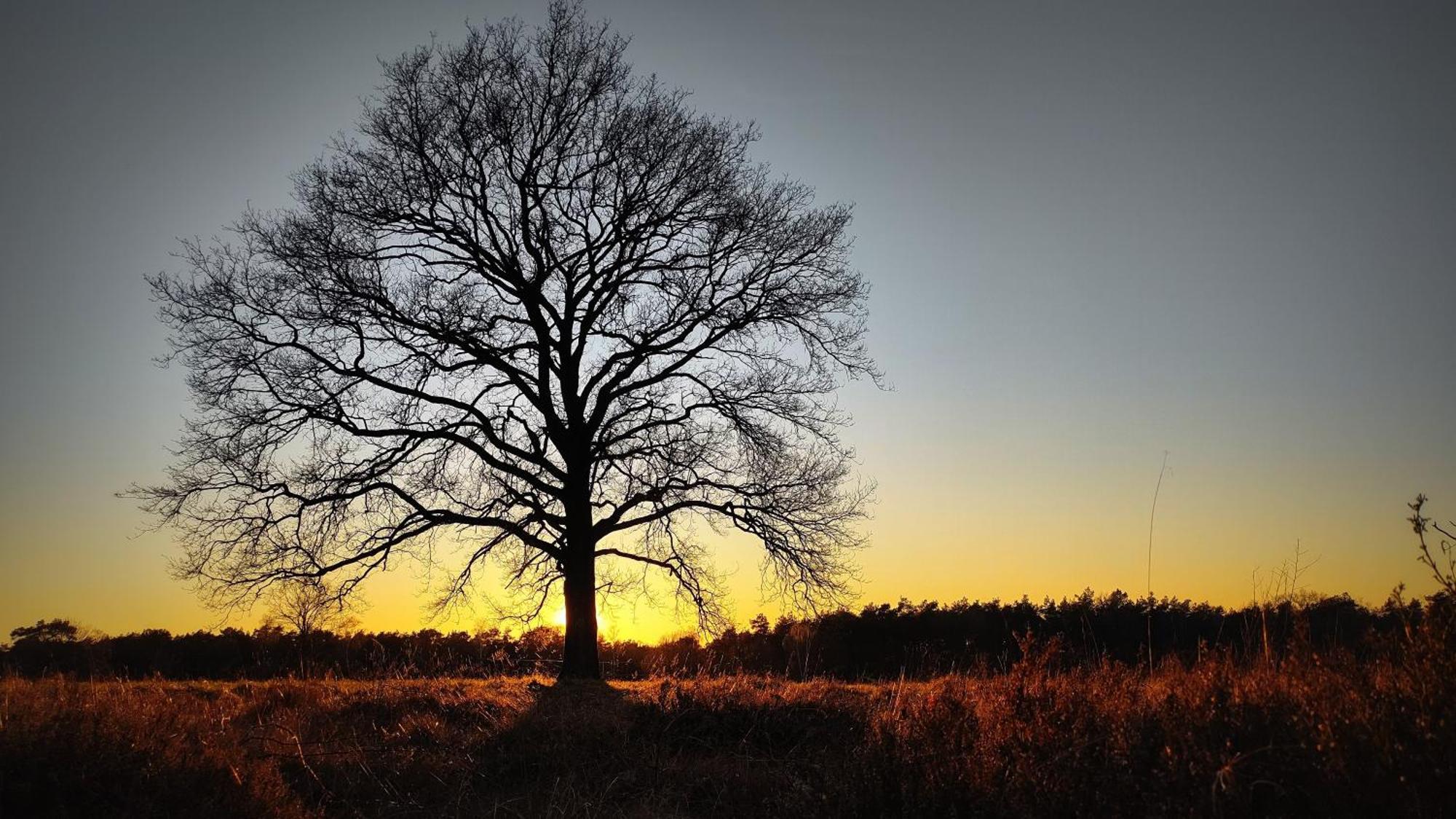 Landhuisje 31 'De Akkersteen' Bospark Ijsselheide Zwolle Hattemerbroek ภายนอก รูปภาพ